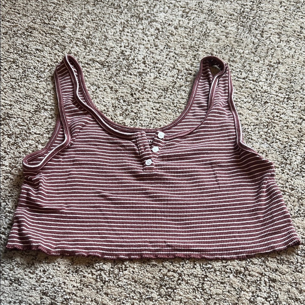 American Eagle Outfitters Burgundy Striped Crop Top